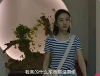 猎狐2019电视剧在线观看,揭秘经侦警察跨国追逃的惊险历程