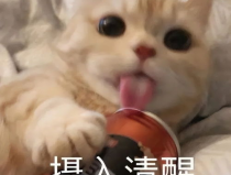 娱乐吃瓜9个段子,揭秘明星幕后故事