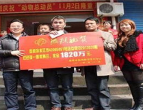 双色球2013020,专家热议，号码解析与开奖回顾
