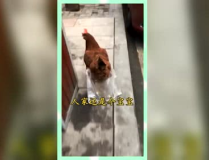 熟悉娱乐吃瓜群众,揭秘明星幕后故事,吃瓜群众独家解读