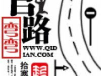 官路弯弯,权谋与成长的曲折历程